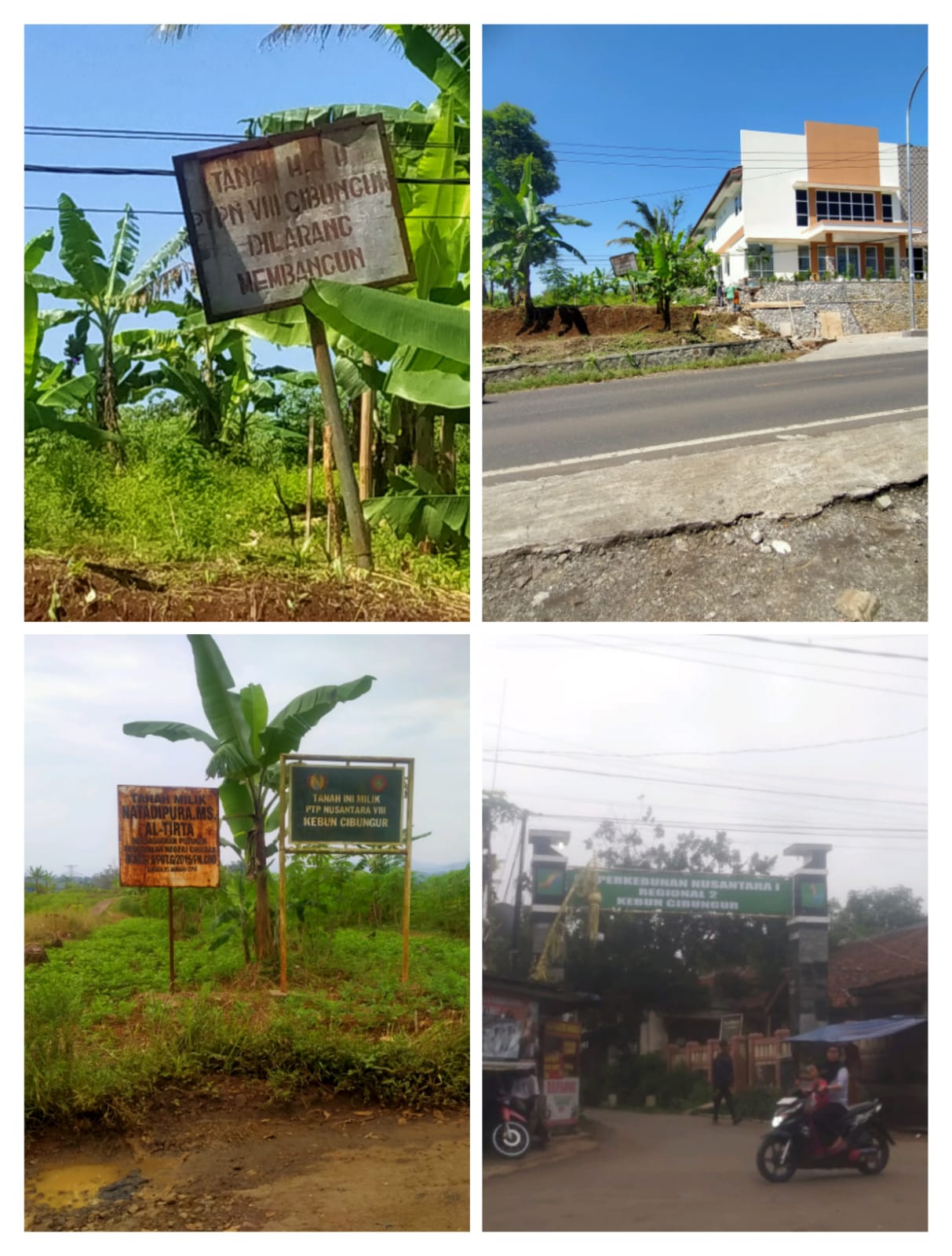 Klaim HGU PTPN V111 Cibungur Diduga Keras Berdiri Diatas Leter C Atas Nama Natadipura