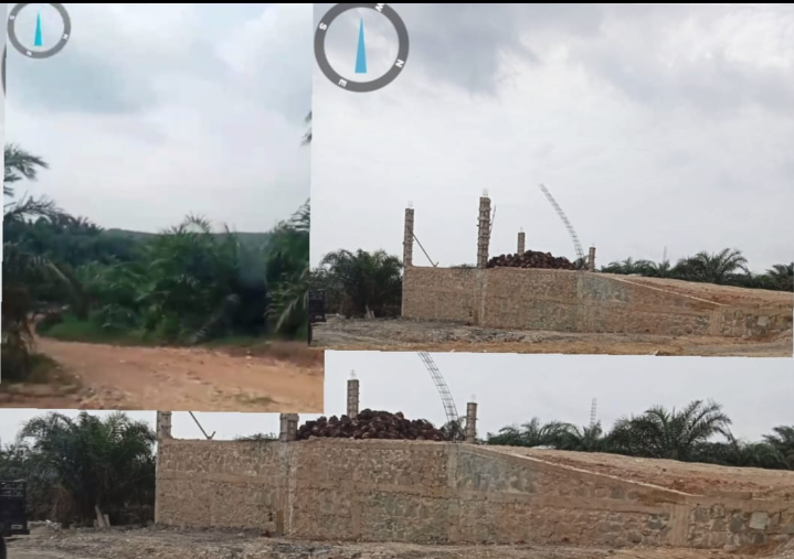 Dugaan Ribuan Hektar Aktivitas Kelapa Sawit di KM 86 Tak Kantongi Izin Usaha Perkebunan(IUP)?