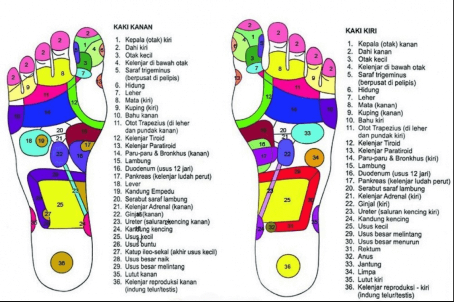 Refleksi Kemerdekaan: Perubahan Pikir untuk Hidup yang Lebih Bermakna Oleh: U.P. Magga Panno Johny, BBA., CPC.