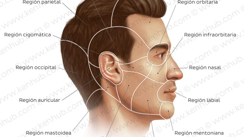 Cara Memeriksa IMEI Infinix untuk Memastikan Keaslian Ponsel dan Status Garansi Resmi