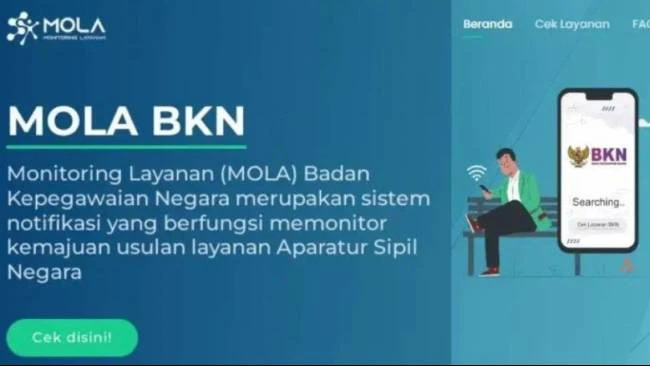 Cek NIP PPPK Paruh Waktu 2025 di Mola BKN