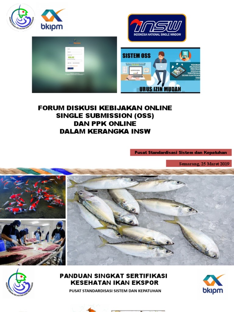 KKP Siapkan Sertifikasi Bebas Cesium-137 untuk Tingkatkan Ekspor Udang Indonesia