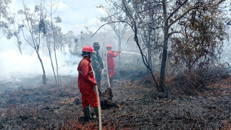 Lahan Ratusan Hektar Terbakar di Tiga Kabupaten Sumsel