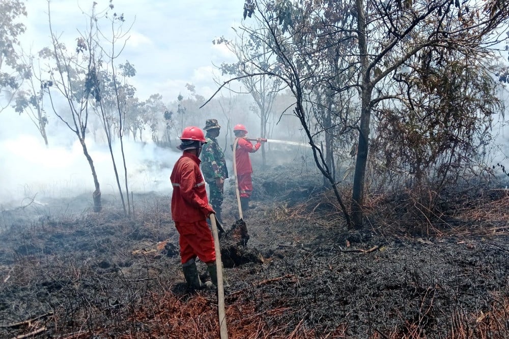 Lahan Ratusan Hektar Terbakar di Tiga Kabupaten Sumsel
