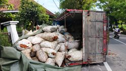 Truk Bawa Wortel Terguling di Tikungan, Polisi Duga Korsleting Kecantikan