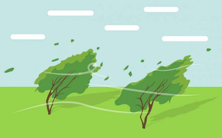 Angin Puting Beliung Menghancurkan Jalan Poros Sangalla Utara