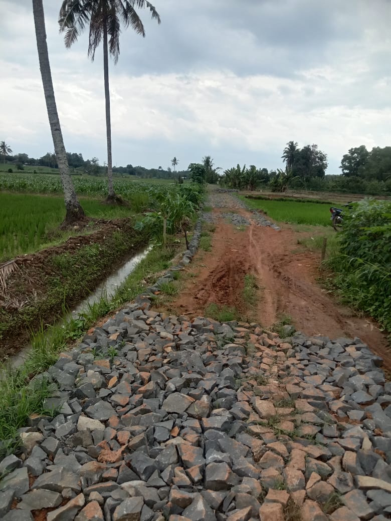 Lapor Pak Bupati!! Pembangunan Jalan Onderlagh di Kampung Totokaton Irian II Diduga Tidak Sesuai Juknis dan Terkesan Asal Jadi
