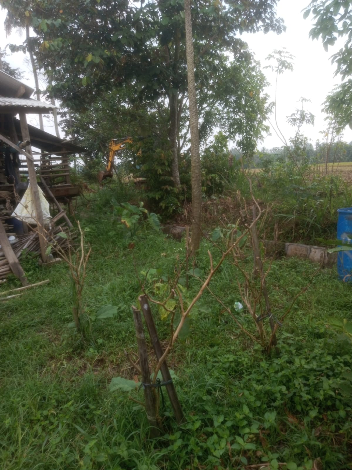 ‎Diduga Galian C Ilegal di Sri Tejo Kencono Kota gajah Belum Tersentuh Penegakan Hukum Salah Satu Oknum Polisi Jadi Sorotan Tajam!  ‎