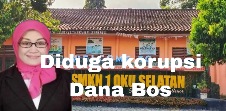 Dugaan Pengelolaan Dana BOS dan PIP di SMKN 1 OKU Selatan Jadi Sorotan, Kepala Sekolah Sri Elyana Harus Di Penjara kan!